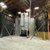 Used 4-Arm Ferry 5500 Rotational Molding Machine