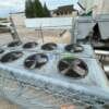 Used 160 Ton Carrier Model 30XA Air Cooled Chiller